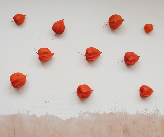 Marco de otoño con flores rojas de physalis sobre fondo de textura blanca vista superior