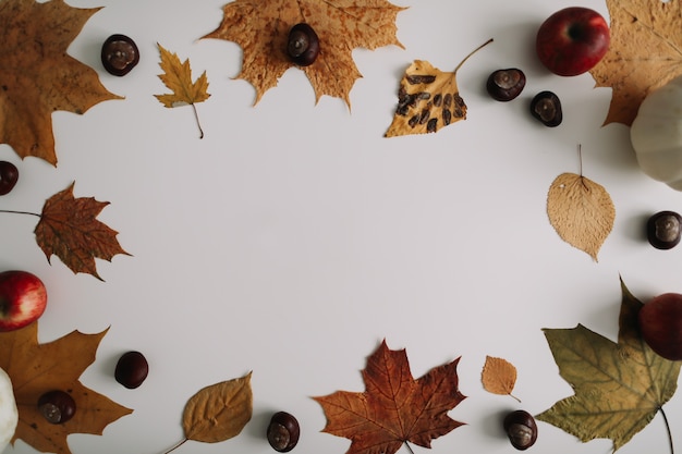 Marco de otoño y textura de otoño con hojas Fondo del día de Acción de Gracias de Halloween