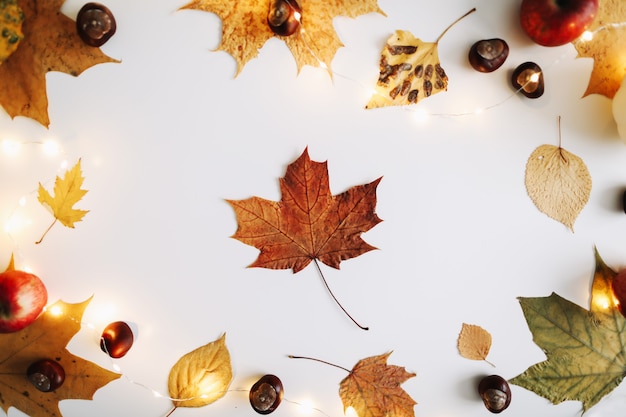 Marco de otoño y textura de otoño con hojas Fondo del día de Acción de Gracias de Halloween