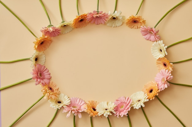 Marco ovalado de diferentes flores de gerbera de colores sobre un fondo beige como postal para el día de San Valentín, 8 de marzo o día de la madre. Vista superior