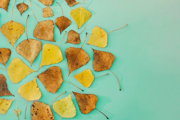 Marco de patrón de composición de otoño hecho de hojas secas de otoño sobre fondo azul