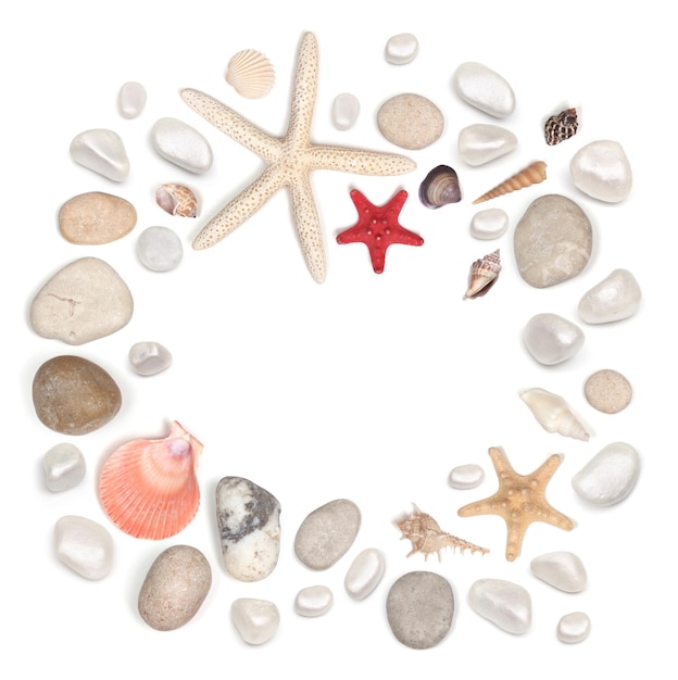 marco, de, piedras, y, concha marina, aislado, blanco