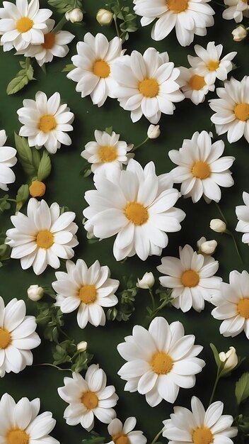 Foto marco plano con flores blancas y fondo