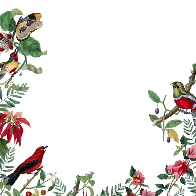 Marco png botánico pintura colorida fondo transparente más inspirado en nuestra propia copia original de Le Jardin Des Plantes 1842 por Paul Gervais