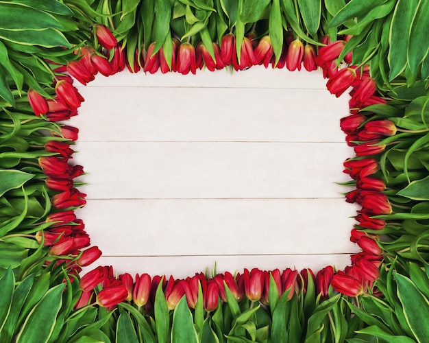 Marco de primavera de flores de tulipán rojo sobre fondo blanco de madera