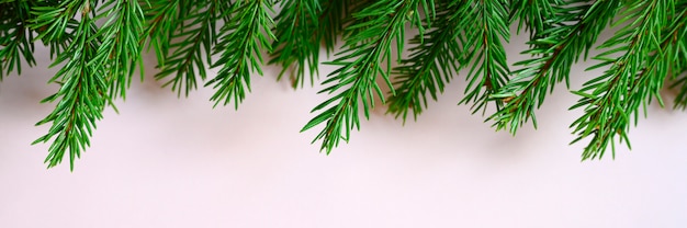 Marco de ramas de árbol de Navidad sobre un fondo rosa