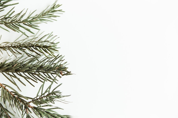 Foto marco de ramas de pino abeto. árbol de navidad sobre fondo blanco. vista superior, endecha plana