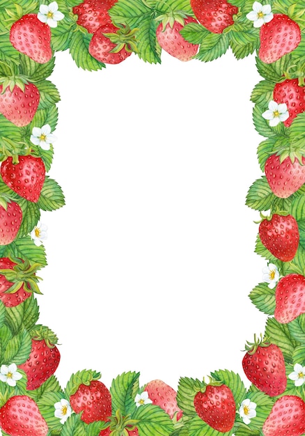 Marco rectangular hecho de fresas de jardín acuarela flores y hojas bayas rojas maduras sobre un fondo blanco mermelada de fresas rústica clipart de embalaje de yogur rústico Guardar el marco de fecha