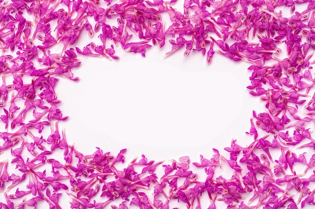 Marco rectangular de pequeñas flores de primavera rosa sobre un fondo blanco.