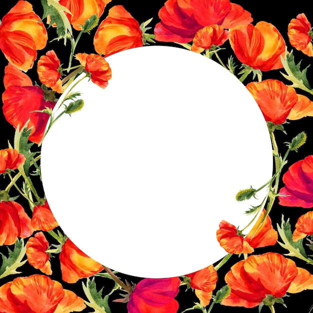 marco redondo de acuarela con amapolas dibujado a mano flores de campo rojas ilustración de verano de flores escarlata aisladas en fondo negro