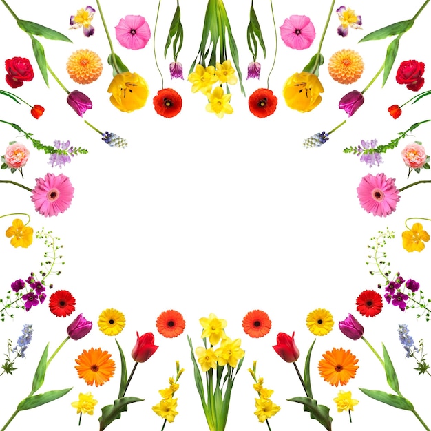 Marco redondo con colección de flores y espacio vacío aislado sobre fondo blanco Composición de flora gladiolo rosa tulipán gerbera narciso muscari delphinium Concepto de primavera Vista plana superior