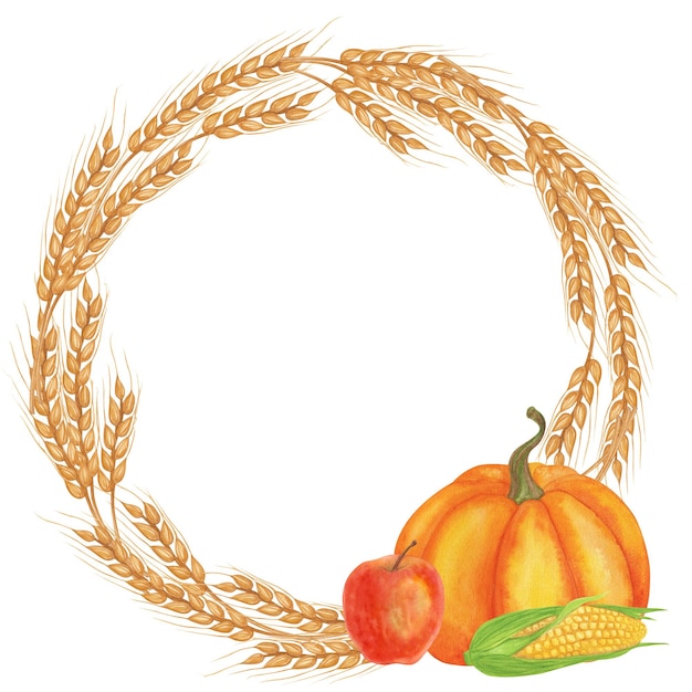 Marco redondo corona de trigo avena centeno pico espikelets naranja calabaza maíz espigas de trigo elementos de la cosecha Acción de Gracias arte de clip de otoño acuarela dibujada a mano ilustración de fondo aislado