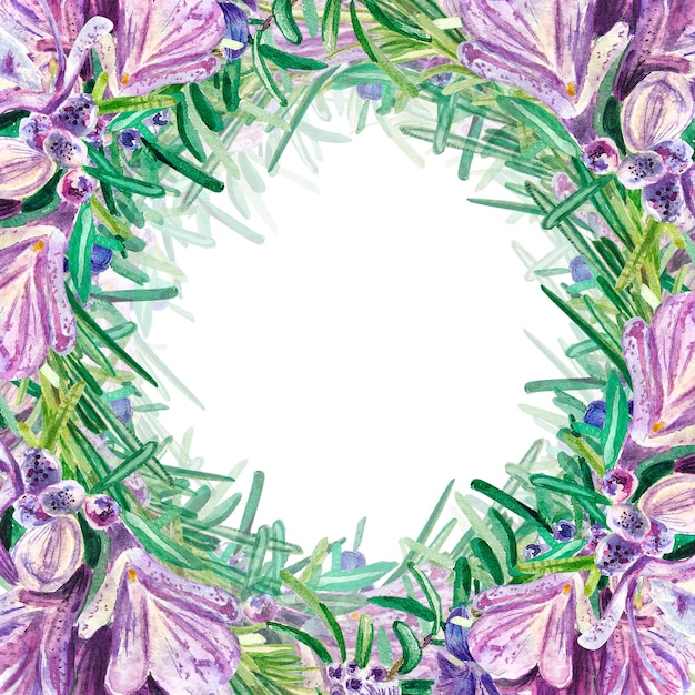 Marco con Romero con grandes flores de color púrpura sobre un fondo blanco Ramita con flor Ilustración acuarela de especias para cocinar Hierbas botánicas provenzales Adecuado para etiquetas de diseño de postales