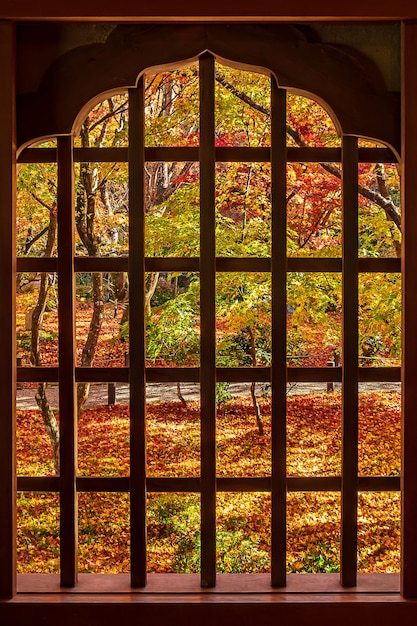 Marco entre ventana de madera y hermoso árbol de arce en el jardín japonés en el templo Enkoji, Kyoto, Japón. Hito y famoso en la temporada de otoño.