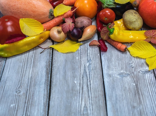 Marco de verduras orgánicas frescas verduras de otoño en un tablero de roble encalado