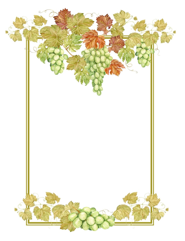 Foto marco vertical de acuarela con uvas ilustración de bayas y hojas verdes de uva marco para la etiqueta de jugo de mermelada de vino blanco clipart para restaurante de café de vino