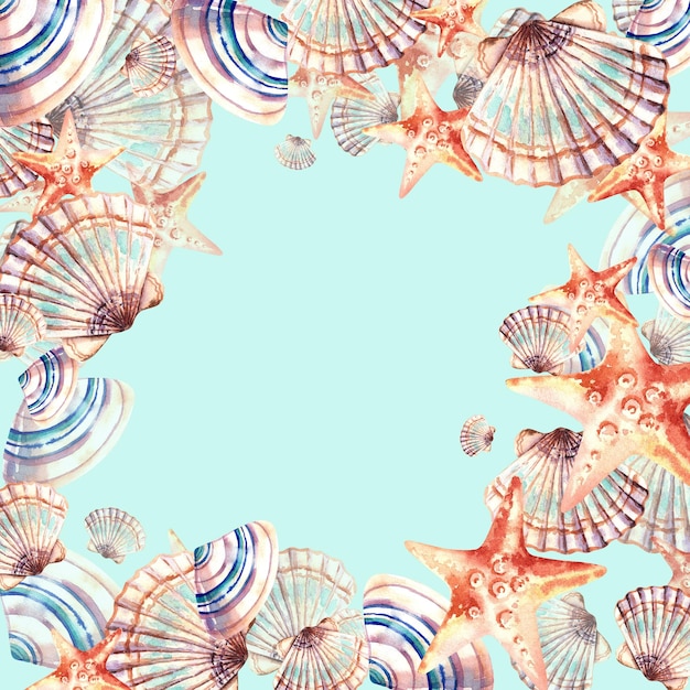 Un marco de vida marina Conchas estrellas de mar Ilustración acuarela Fondo para postales e invitaciones