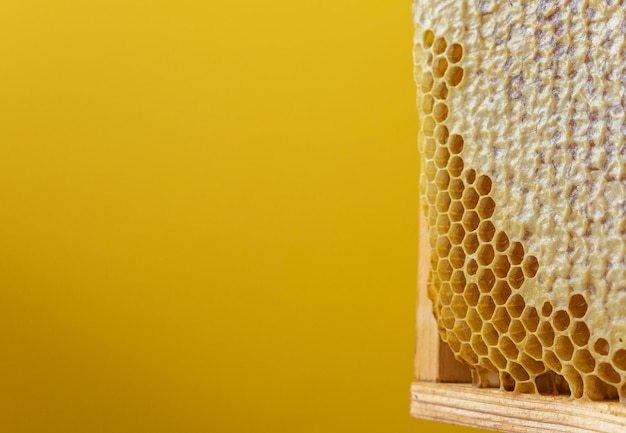Marcos de panales. Miel fresca. Producto de abeja orgánico natural. Estilo de vida saludable. Cerca de la foto.