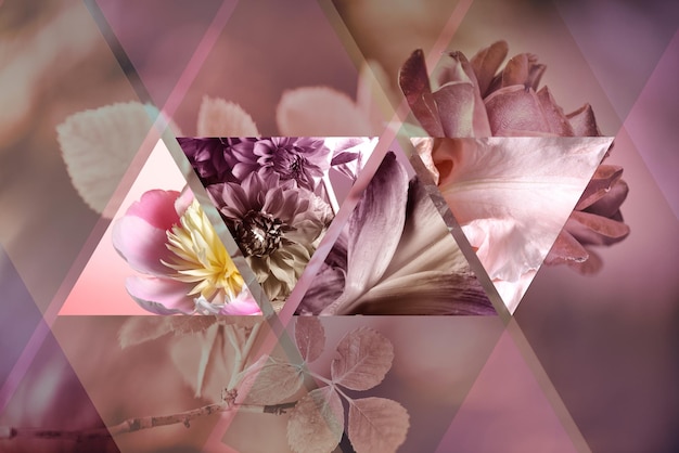 Marcos triangulares con texturas florales fondo gráfico floral colores rosados