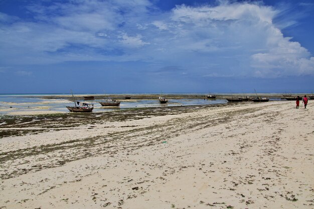 Maré baixa em Zanzibar, Oceano Índico