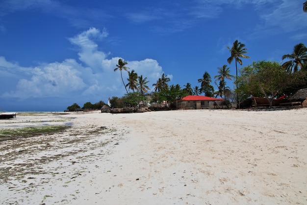 Maré baixa em Zanzibar, Oceano Índico