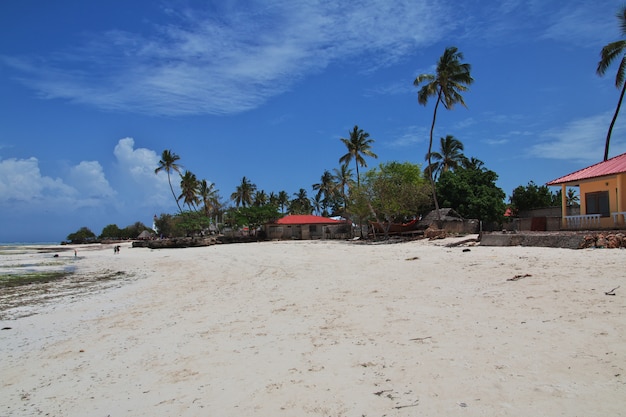 Maré baixa em Zanzibar, Oceano Índico