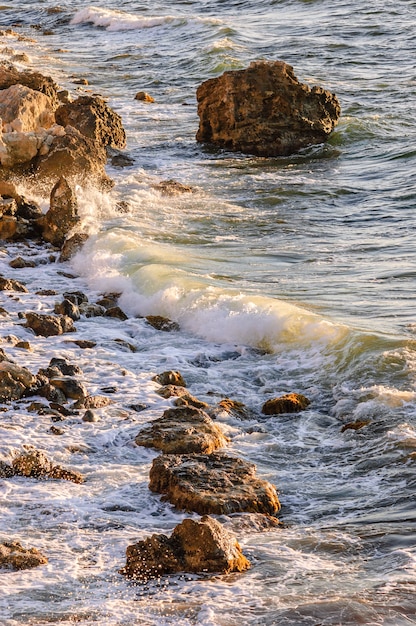 Maré do mar em raios de sol