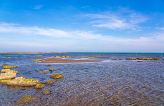 Marea baja en el mar. Cambio climático