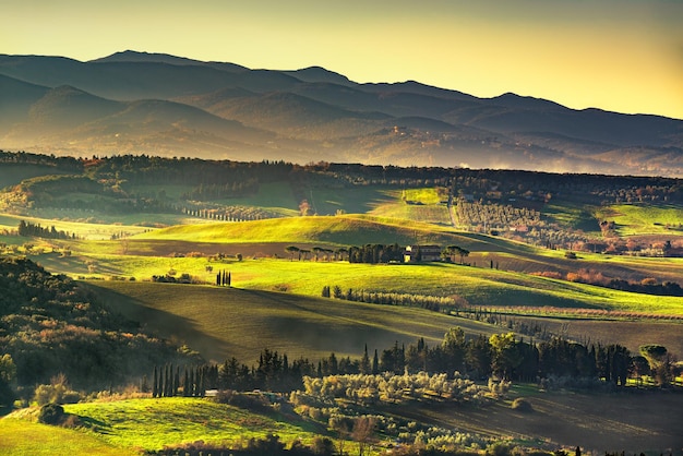 Foto maremma campo nascer do sol paisagem nebulosa bibbona toscana itália