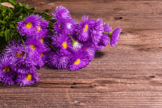 Margaridas decorativas roxas em fundo de madeira. Conceito criativo de flores, disposição plana, lugar para texto