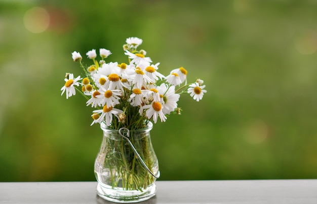 Margaridas em um vaso na mesa verde da natureza. Flores da primavera