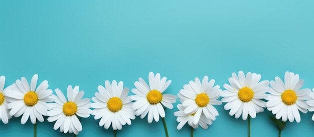 Foto margaritas florais em fundo vibrante com espaço em branco para modelo de design de texto