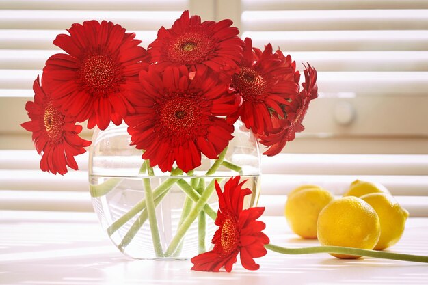 Las margaritas de gerbera frescas en la mesa