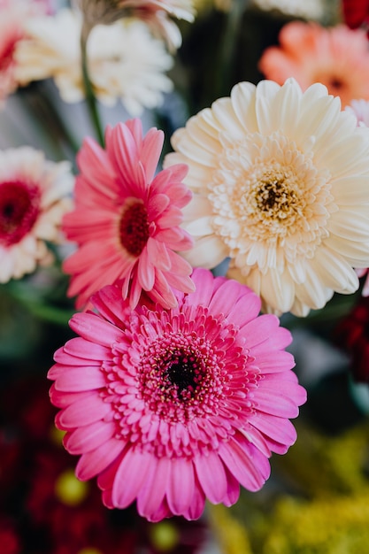 Margaritas de gerberas rosas y blancas