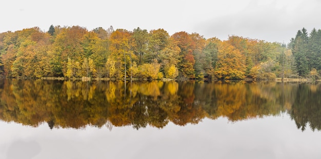 Margem do lago outonal com floresta sob o céu. Árvores na costa rochosa do lago ondulado em um dia ensolarado de outono