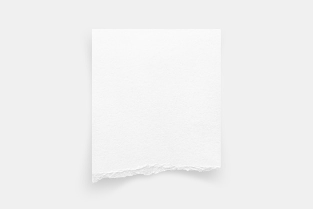 Foto margens de papel rasgadas textura de papel rasgada etiqueta de papel folha de papel branco para fundo com caminho de recorte imagem de perto