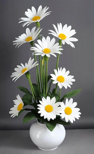 Marguerita blanca Dibujo de flores Plantas exóticas Pétalos Plantas sobre fondo blanco