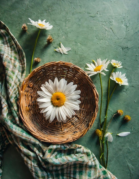 Foto marguerita de fondo floral con canasta