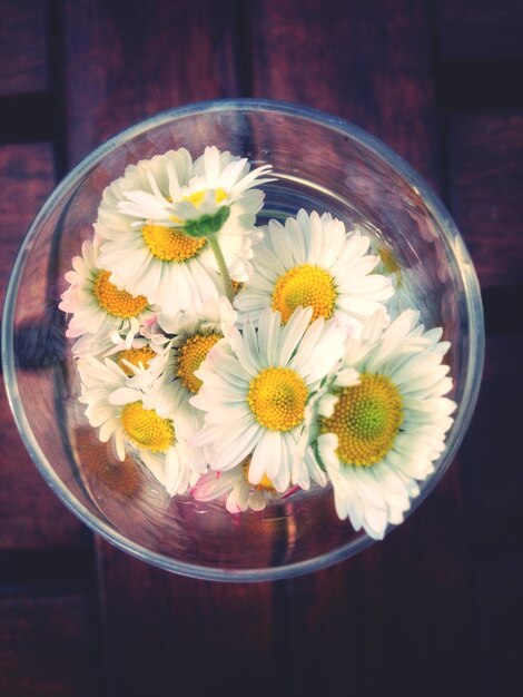 Foto margueritas en un jarrón de vidrio