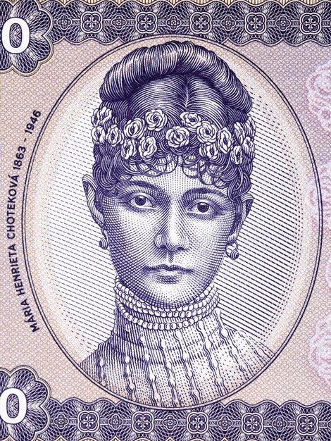 Maria Henrietta Chotekova el retrato del dinero