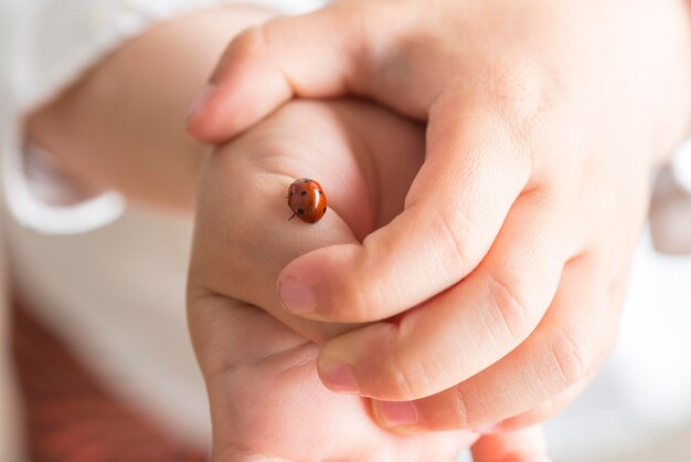 Marienkäfer auf der Hand eines Kindes