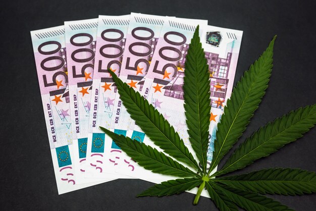 Marihuana-Geschäftskonzept. Cannabisblatt und Euro-Banknote. Verkauf von Marihuana-Medikamenten. Einnahmen und Gewinne aus dem Anbau von medizinischem Cannabis.