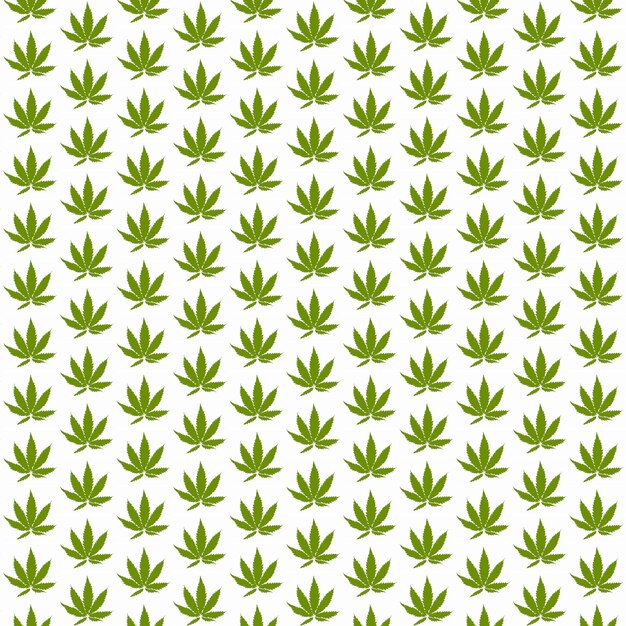 marihuana medicinal cannabis logotipo de color verde estilo tailandés hojas de marihuana