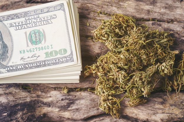 Marihuana medicinal seca con billetes de un dólar