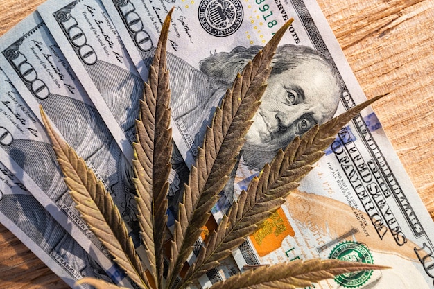 Marihuana und Geld US-Dollar und Cannabis