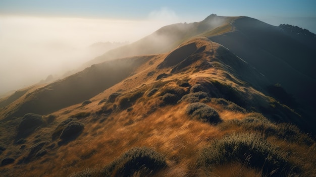 Marin Headlands em iluminação cinematográfica hiper-realista