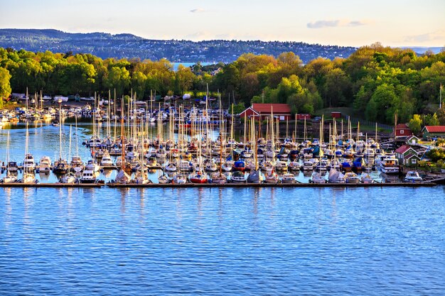 Marina con muchos barcos y veleros, Noruega