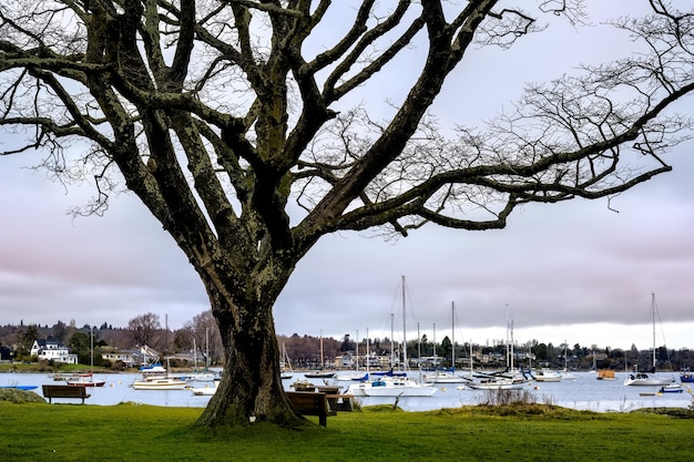 Marina de Oak Bay, Victoria, BC Canadá