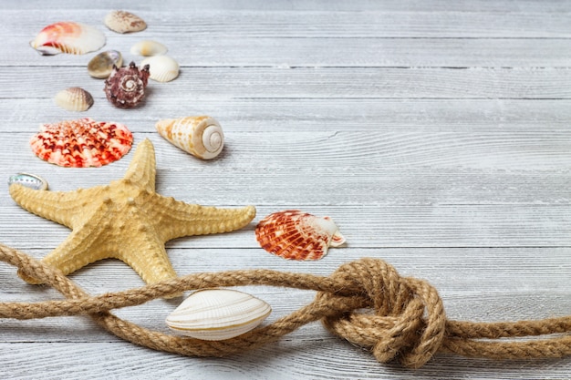 Marinezusammensetzung mit Muscheln, Starfish und Seil auf einem hellen Holztisch