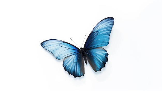 Una mariposa azul sobre un fondo blanco con la palabra mariposa.